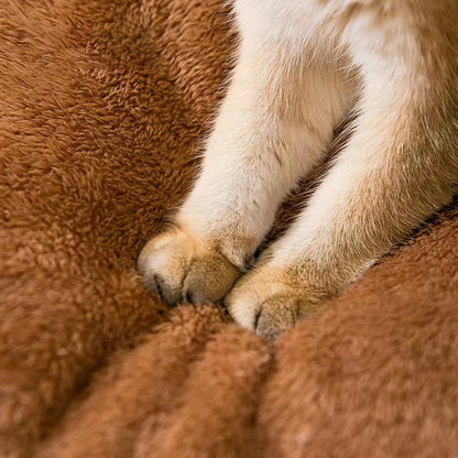 Cosy Cat House – Soft Plush Indoor Bed in 3 Sizes