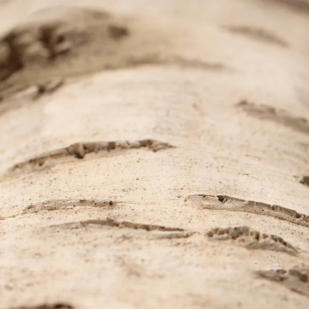 Betula Hide Cave – Realistic Birch Log Reptile Shelter