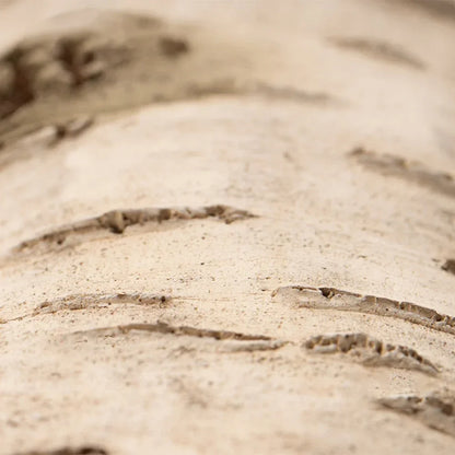 Betula Hide Cave – Realistic Birch Log Reptile Shelter