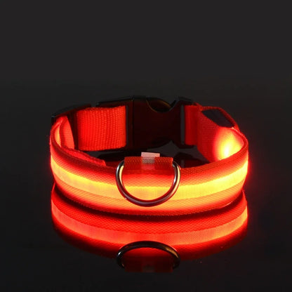 Dog Collar - LED Night Safety Collar