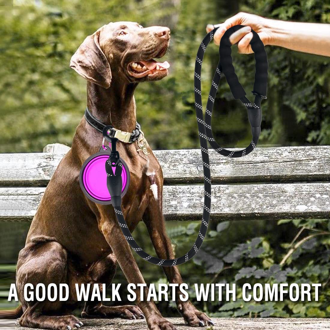 Heavy-Duty Reflective Dog Leash with Padded Handle