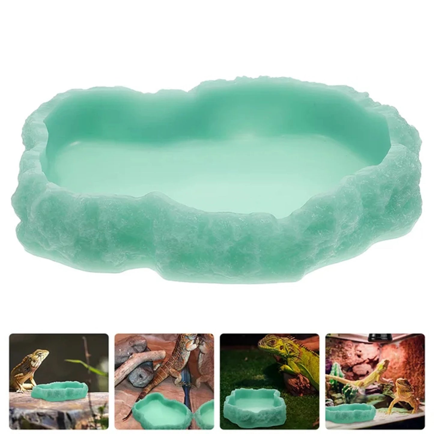 Natural Look Reptile Feeding Dish – Multi-Size Food & Water Bowl