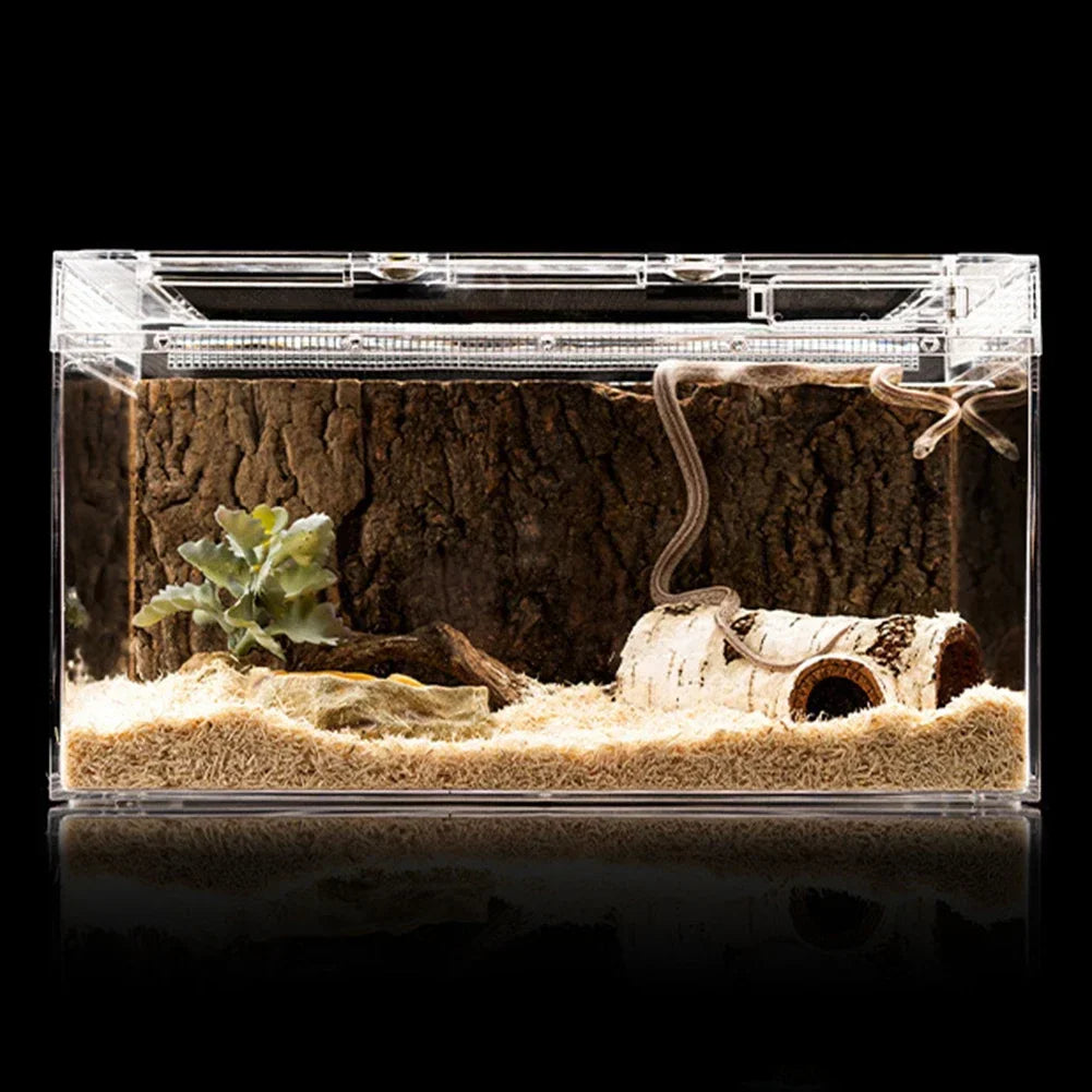 Betula Hide Cave – Realistic Birch Log Reptile Shelter