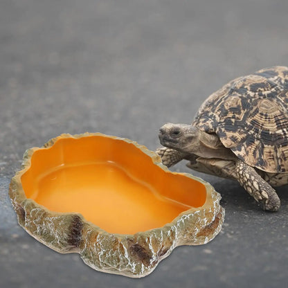 Natural Look Reptile Feeding Dish – Multi-Size Food & Water Bowl