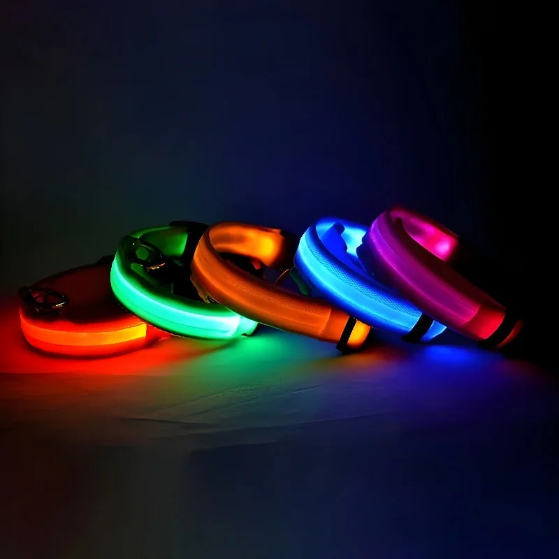 Dog Collar - LED Night Safety Collar