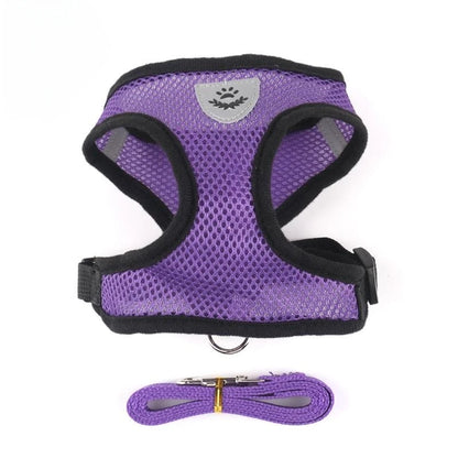 Breathable Cat Harness & Leash Set – S to XL