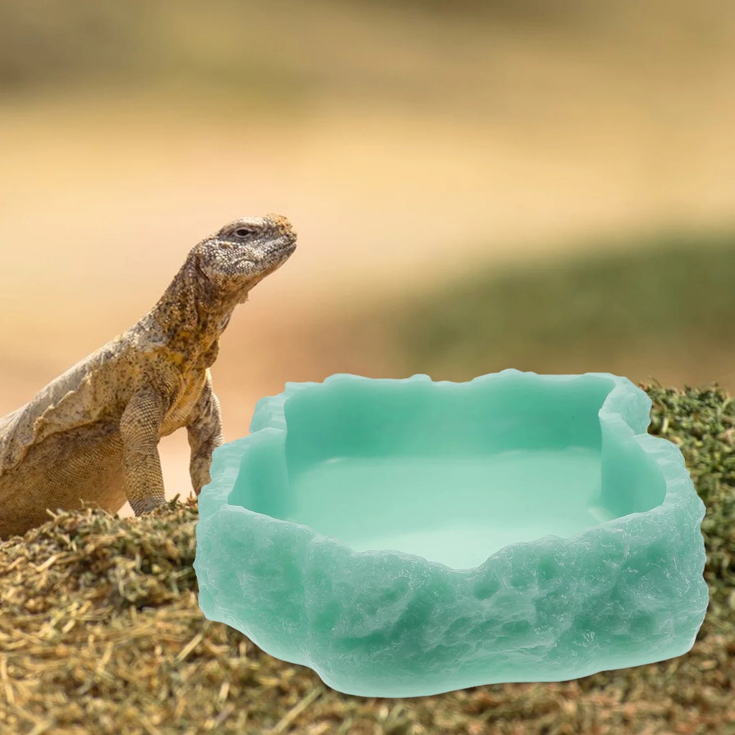 Natural Look Reptile Feeding Dish – Multi-Size Food & Water Bowl