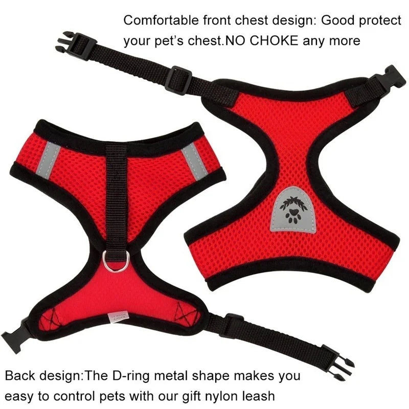 Cat Harness with Adjustable Lead Leash