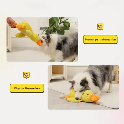 Plush Duck Dog Toy with Quack Sound – Soft Squeaky Playmate