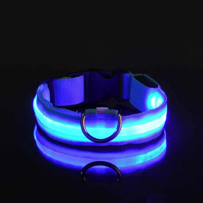 Dog Collar - LED Night Safety Collar