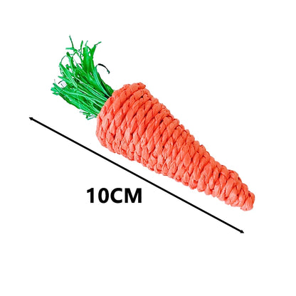 Carrot-Themed Bird Chew Toy – 2 Fun Variants for Foraging & Beak Health