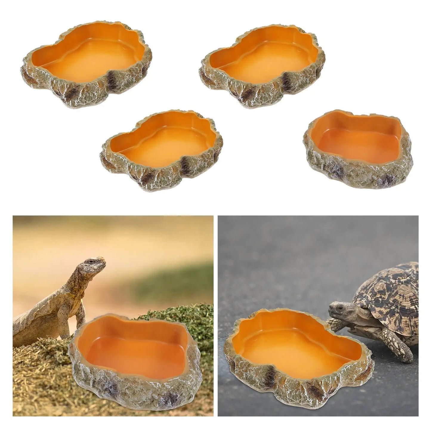 Natural Look Reptile Feeding Dish – Multi-Size Food & Water Bowl