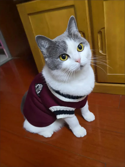 Preppy Knit Cat Sweater – Soft Pullover in 3 Colours
