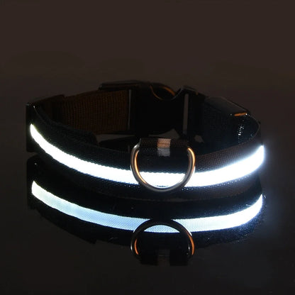 Dog Collar - LED Night Safety Collar