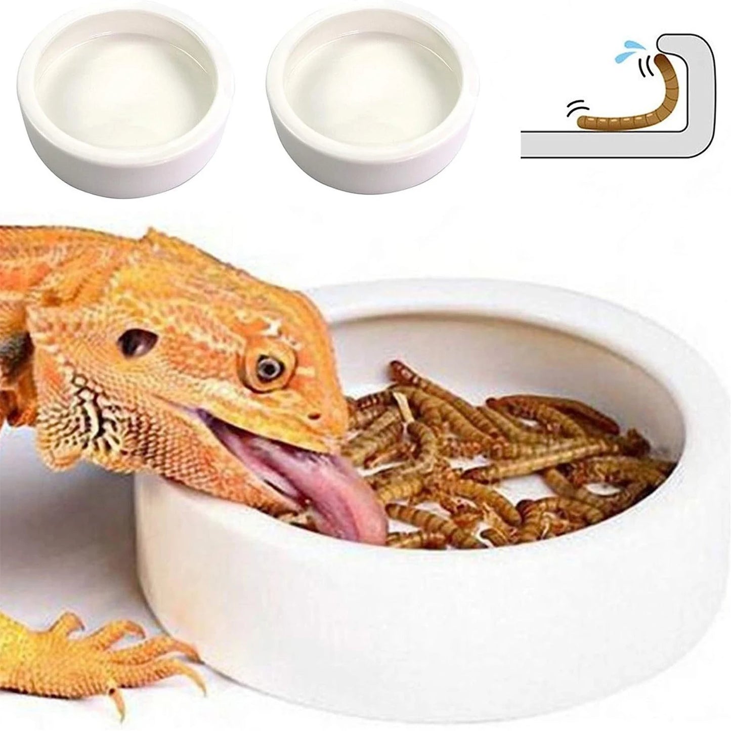 Ceramic Reptile Feeding Bowl – Anti-Escape Dish for Worms & Insects