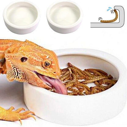 Ceramic Reptile Feeding Bowl – Anti-Escape Dish for Worms & Insects