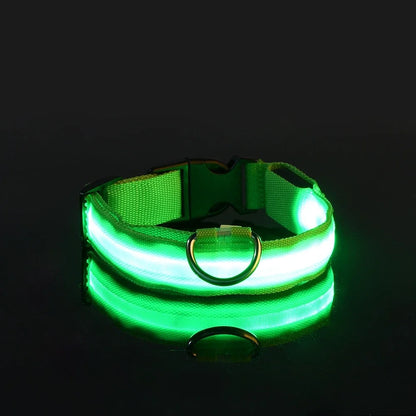 Dog Collar - LED Night Safety Collar