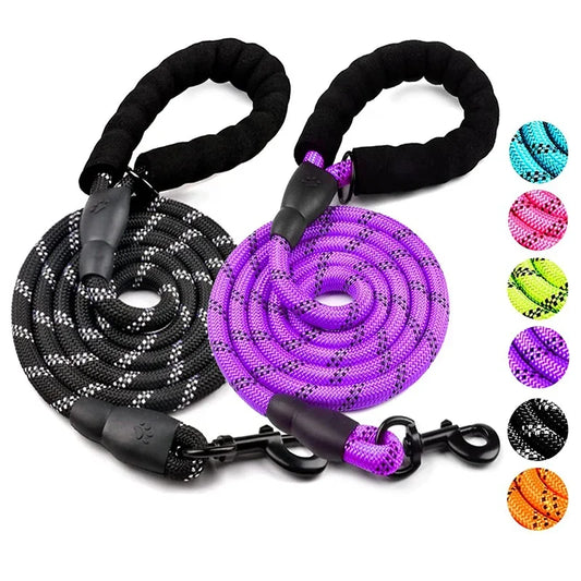 Heavy-Duty Reflective Dog Leash with Padded Handle