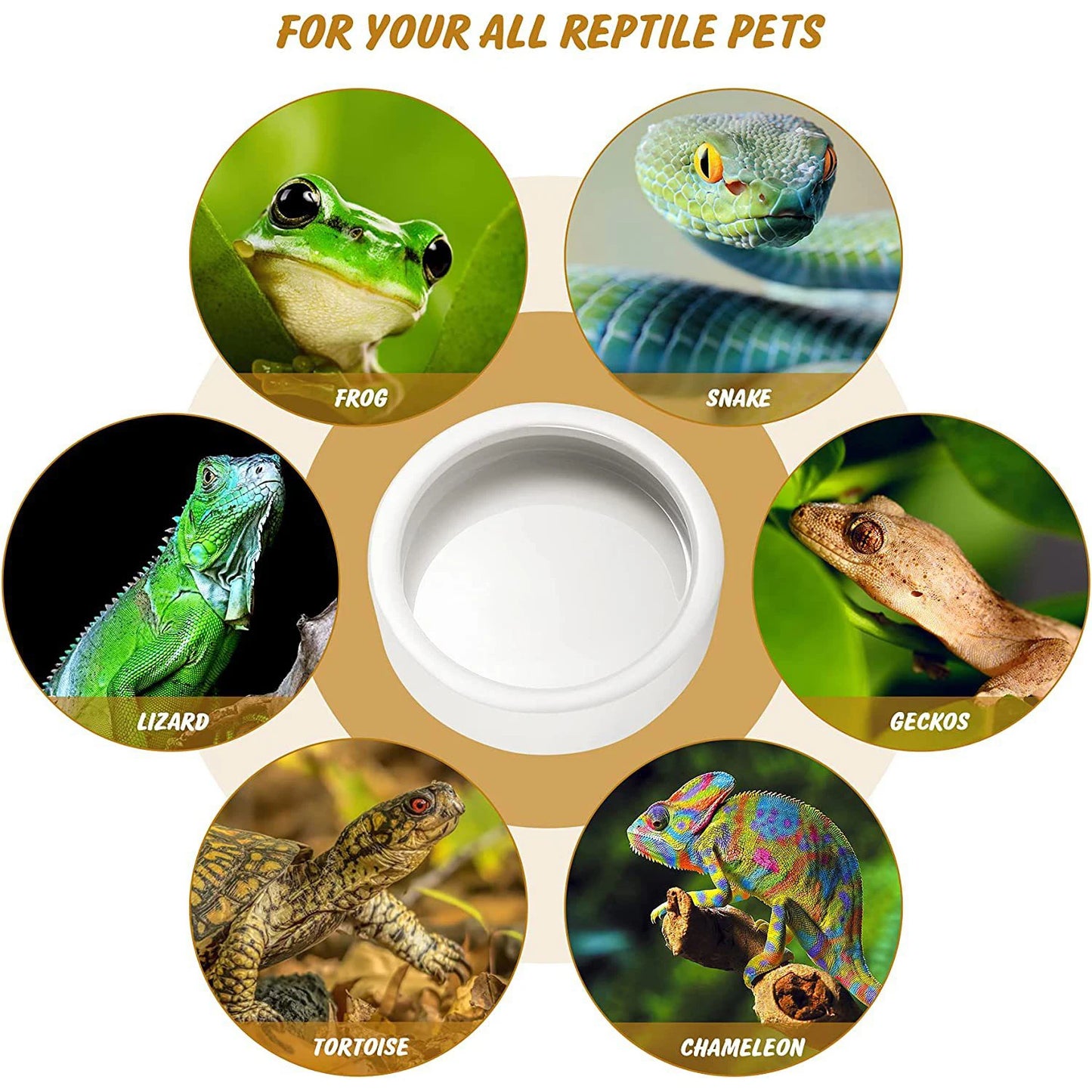 Ceramic Reptile Feeding Bowl – Anti-Escape Dish for Worms & Insects