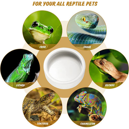 Ceramic Reptile Feeding Bowl – Anti-Escape Dish for Worms & Insects