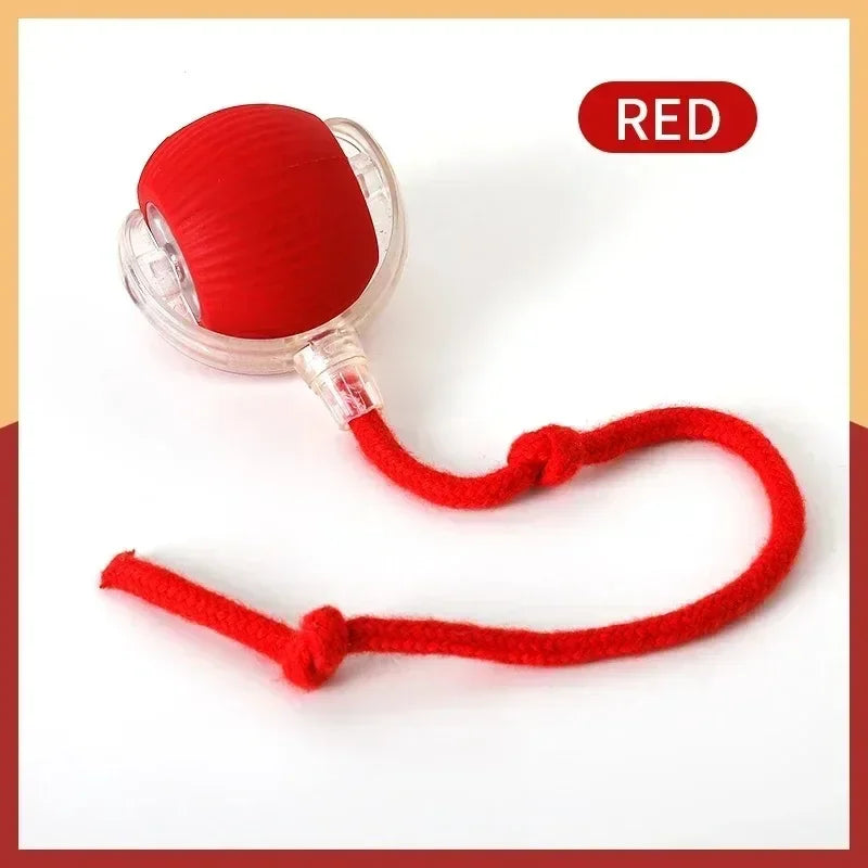 Rechargeable Motion Cat Ball with Tail – Interactive Playtime Fun