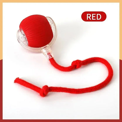 Rechargeable Motion Cat Ball with Tail – Interactive Playtime Fun