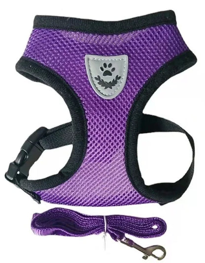 Breathable Cat Harness & Leash Set – S to XL