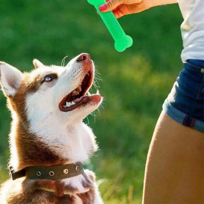 Flexible Bone Chew Toy – Soft Rubber Dog Teether