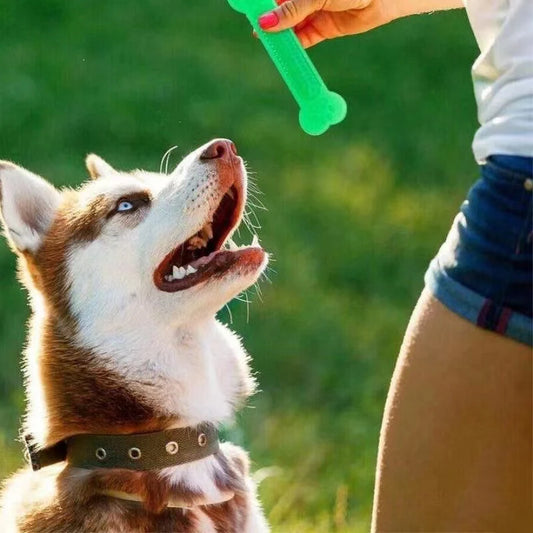 Flexible Bone Chew Toy – Soft Rubber Dog Teether