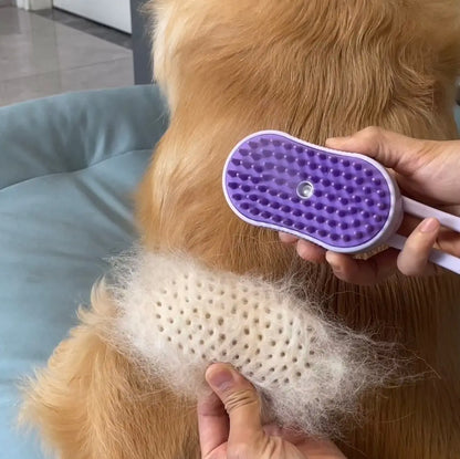 Grooming & Massage Brush with Spray