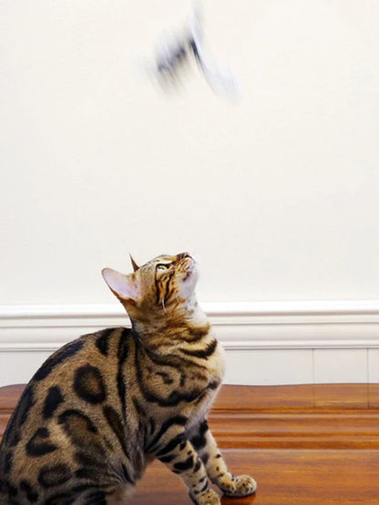 Suction Cup Cat-Teasing Wand – 90cm Interactive Feather Toy
