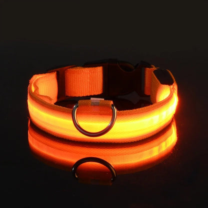 Dog Collar - LED Night Safety Collar