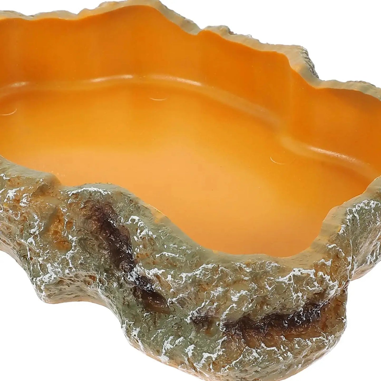 Natural Look Reptile Feeding Dish – Multi-Size Food & Water Bowl