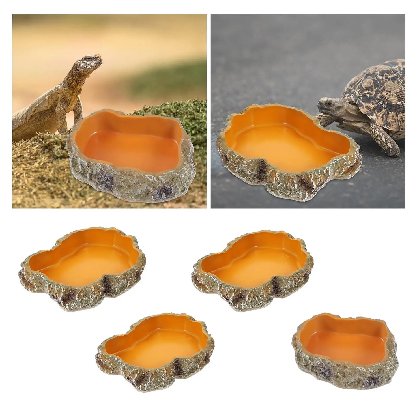 Natural Look Reptile Feeding Dish – Multi-Size Food & Water Bowl