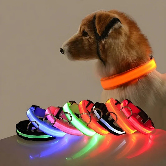 Dog Collar - LED Night Safety Collar
