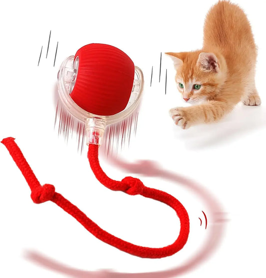 Rechargeable Motion Cat Ball with Tail – Interactive Playtime Fun