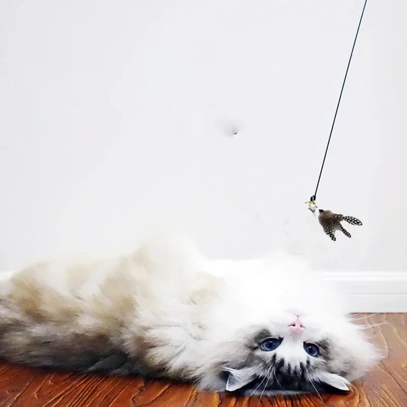 Suction Cup Cat-Teasing Wand – 90cm Interactive Feather Toy