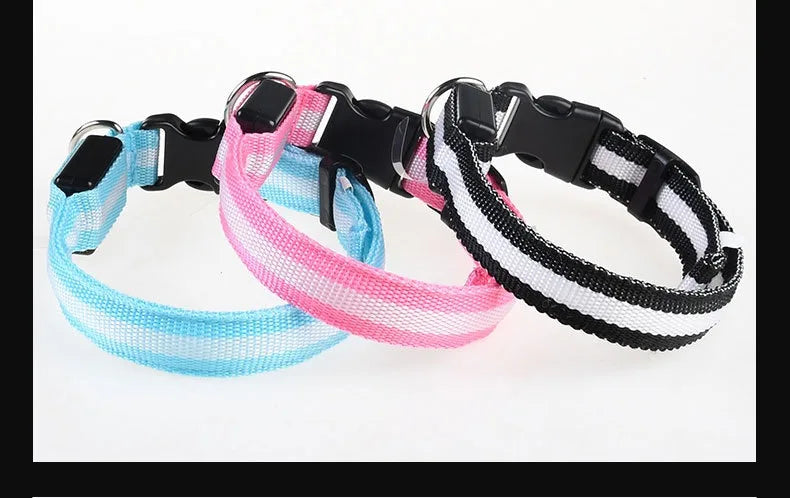 Dog Collar - LED Night Safety Collar