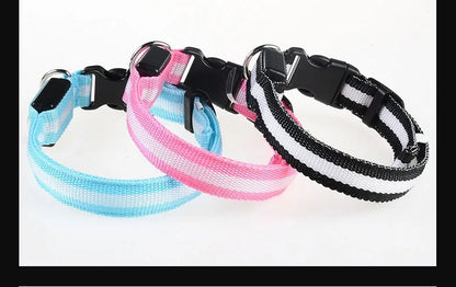 Dog Collar - LED Night Safety Collar
