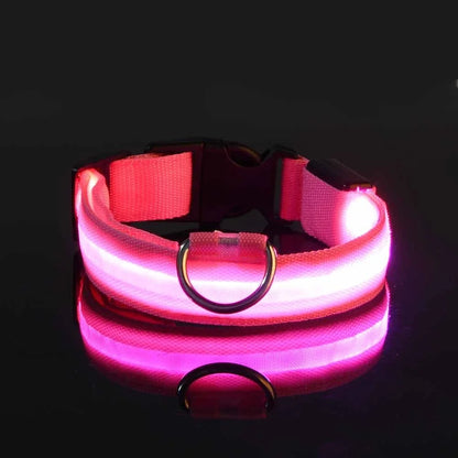 Dog Collar - LED Night Safety Collar