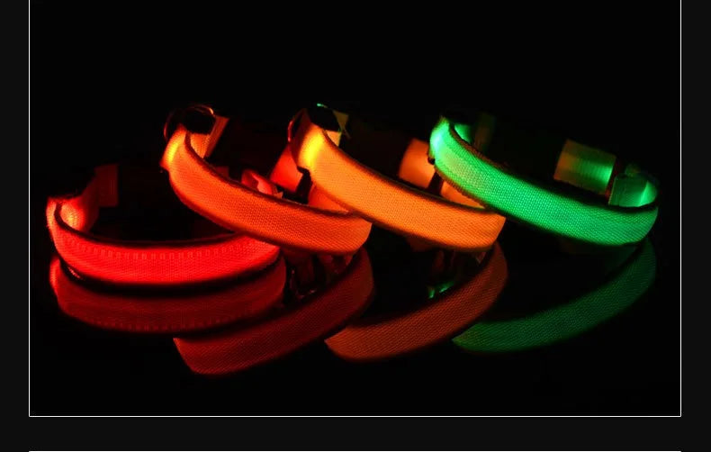 Dog Collar - LED Night Safety Collar