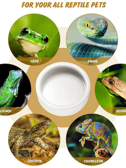 Ceramic Reptile Feeding Bowl – Anti-Escape Dish for Worms & Insects