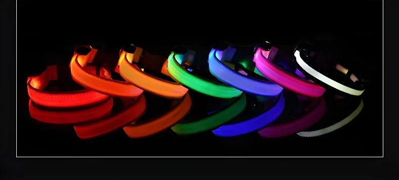 Dog Collar - LED Night Safety Collar