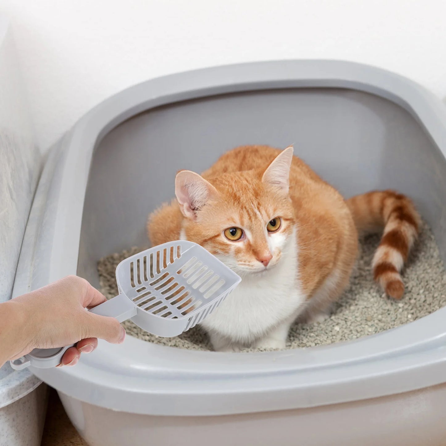 Cat Litter - 2Pc Cat Litter Scoop Sifter with Deep Tray