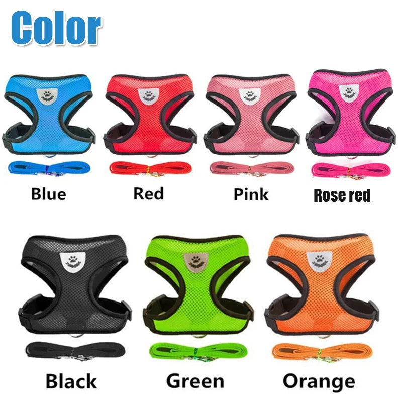 Cat Harness with Adjustable Lead Leash