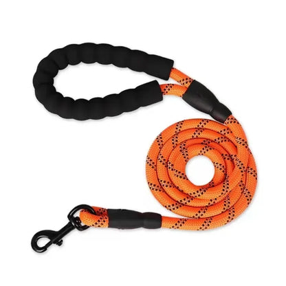 Heavy-Duty Reflective Dog Leash with Padded Handle
