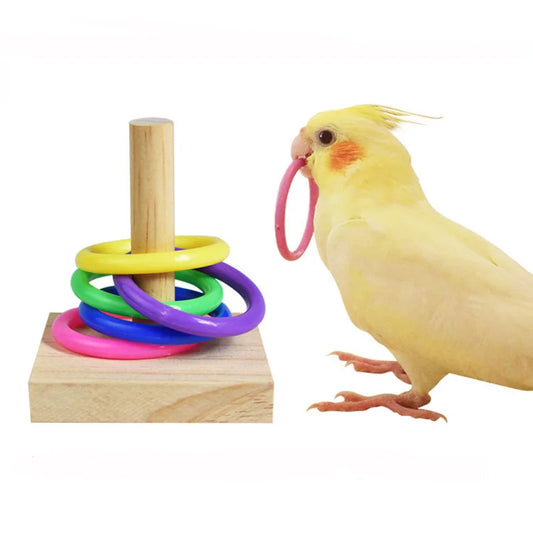 Bird Ring Toss Training Toy – Interactive Learning Play Set for Birds