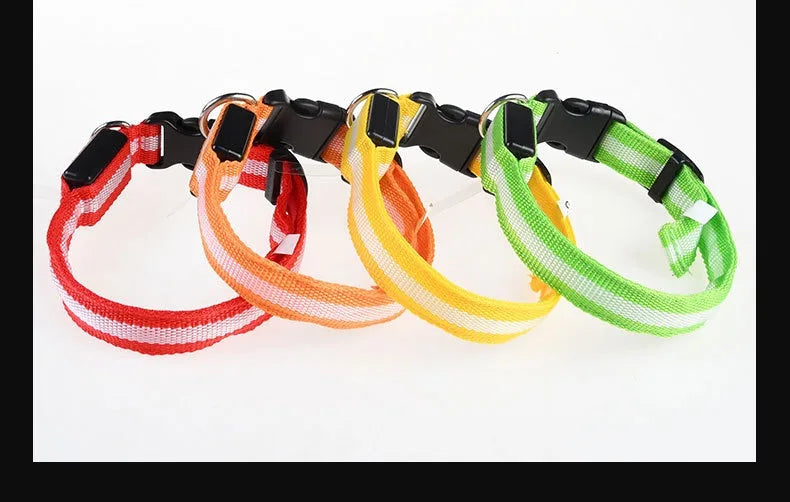Dog Collar - LED Night Safety Collar