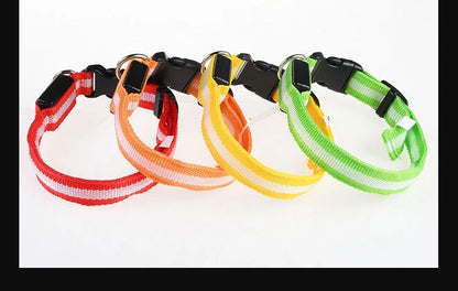 Dog Collar - LED Night Safety Collar