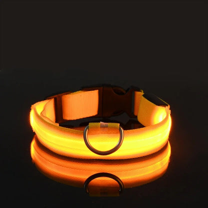 Dog Collar - LED Night Safety Collar